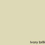 Ivory-brillo