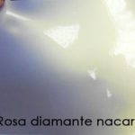 Rosa-diamante